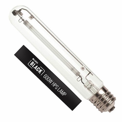 Best 600w hps bulb deals for flowering